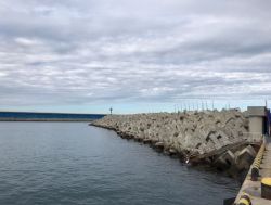 Волнозащитное сооружение в морском порту Сочи