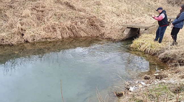 Дальневосточный бассейновый филиал организовал выпуск молоди кеты в реку Рязановка в Приморском крае