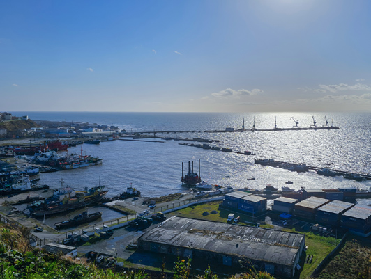 Сделано в России: завершена опытная эксплуатация СУДС на российском ПО в заливе Анива